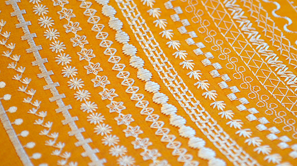 Pfaff Passport 3.0 Démonstrateur