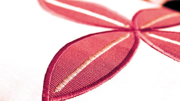 DEMO Pfaff Creative 3.0 brodeuse avec couture